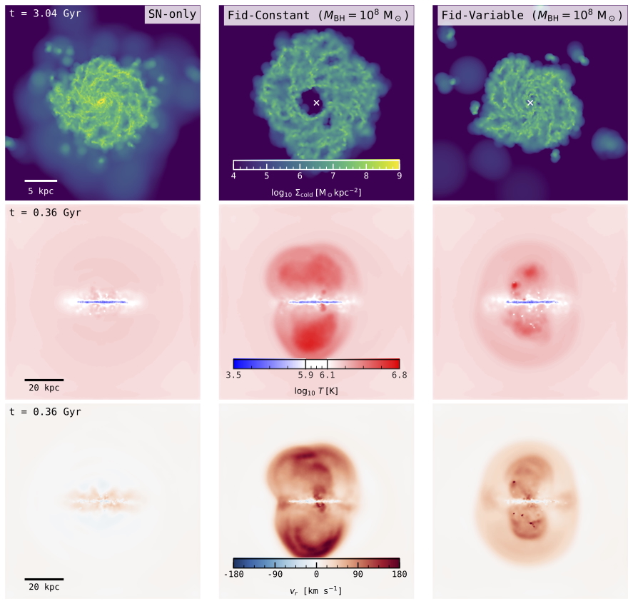 Cold gas surface density, temperature, and radial velocity maps