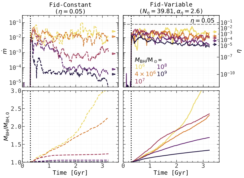 BH accretion rate and mass growth for different BH masses