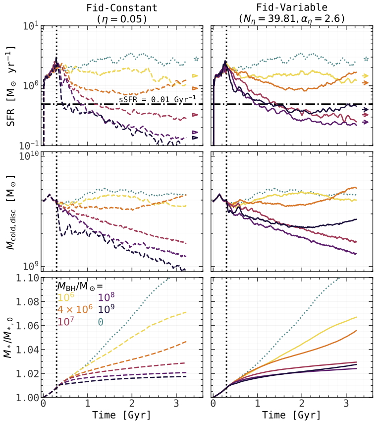 SFR, cold gas disc mass, and stellar mass evolution