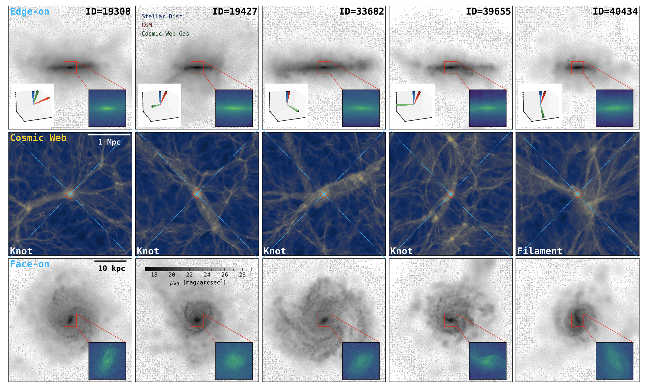 Large-scale environment and mock images of GBDs
